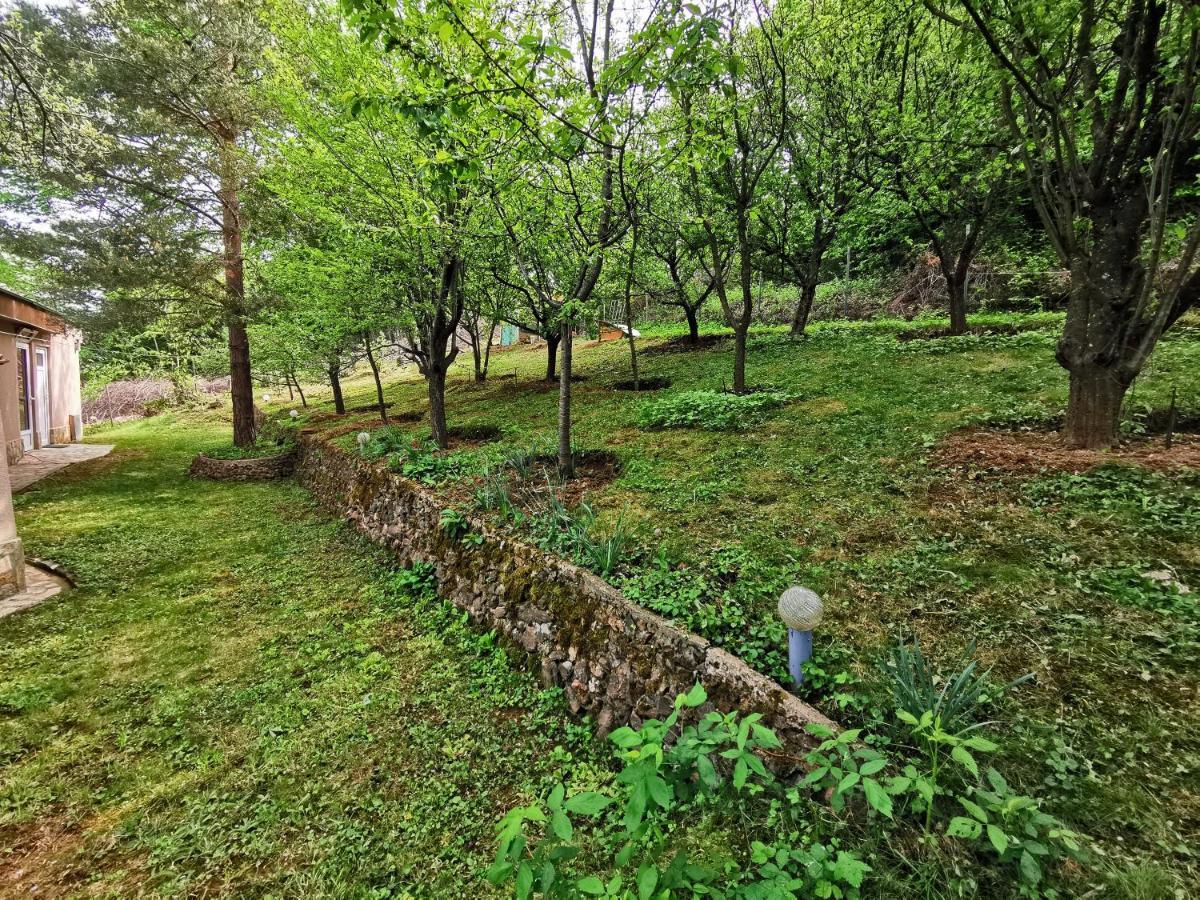 Villa Aqua Pravets Buitenkant foto
